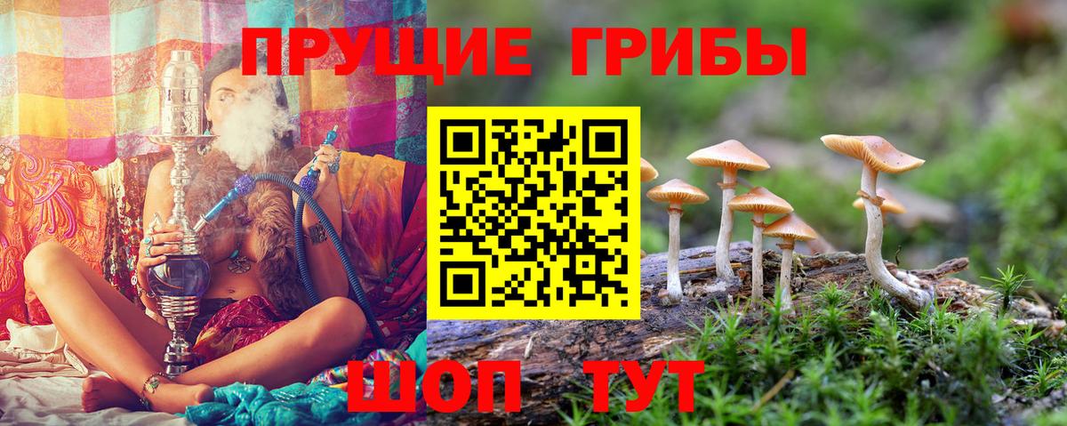наркота  Галлюциногенные грибы ЛСД  Вход с VPN  Алейск 